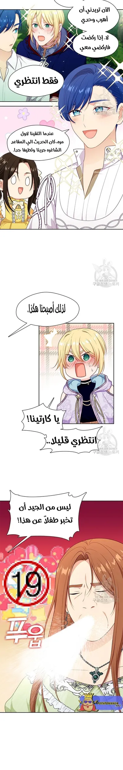 الصفحة 17