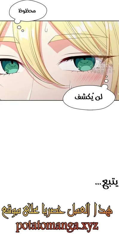 الصفحة 24