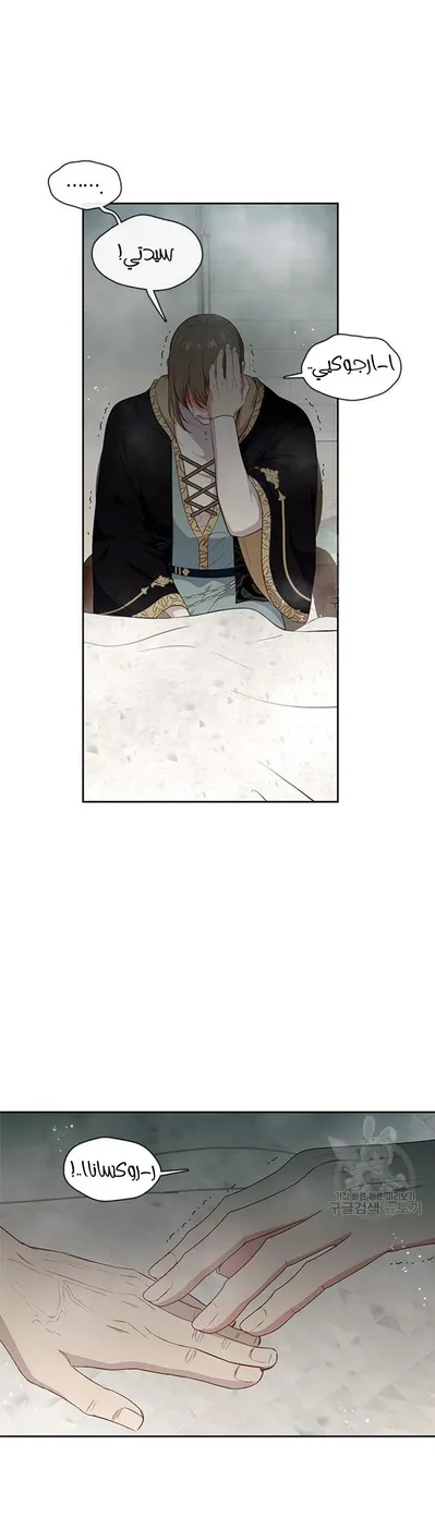 الصفحة 17