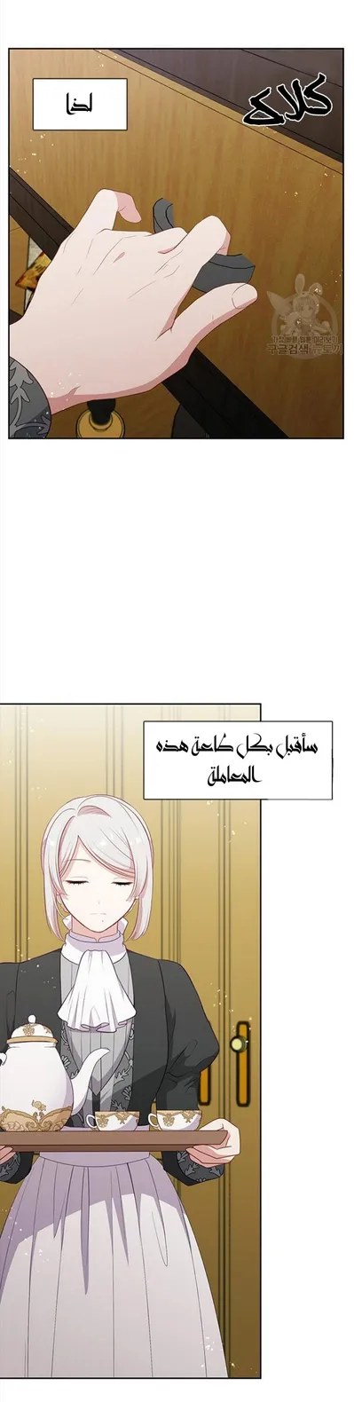 الصفحة 29