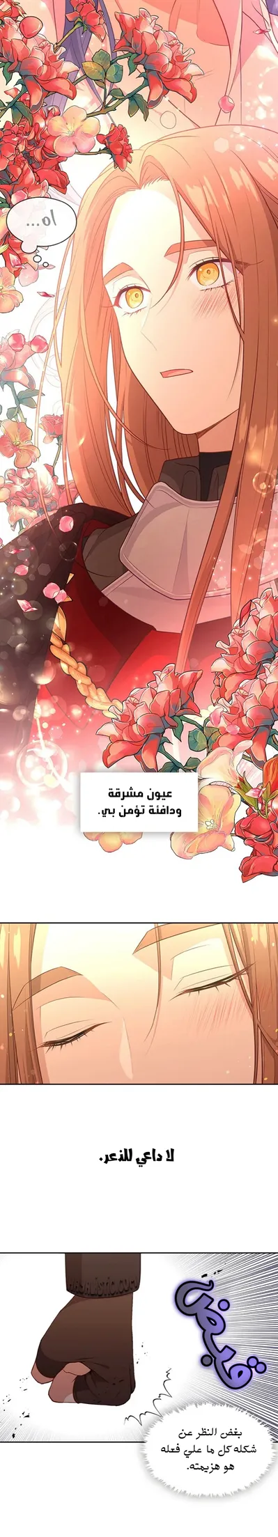 الصفحة 16