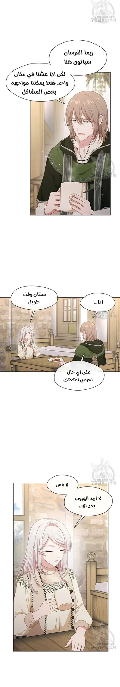 الصفحة 17