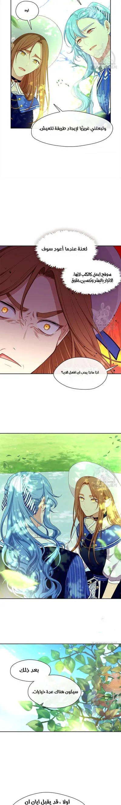 الصفحة 16