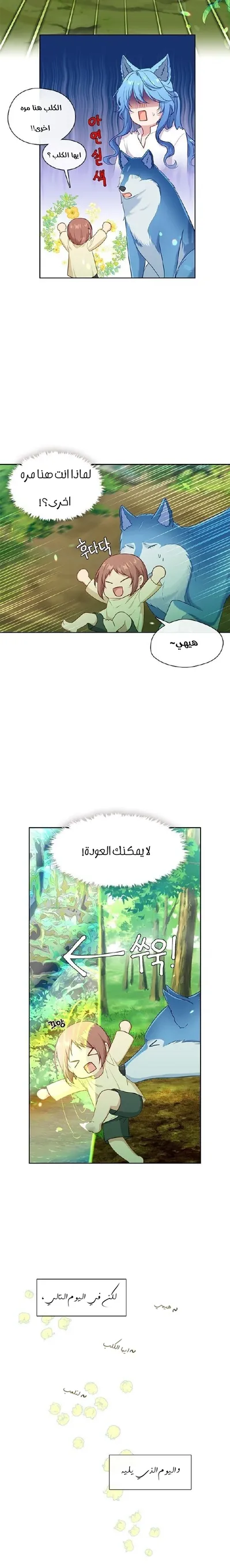 الصفحة 11