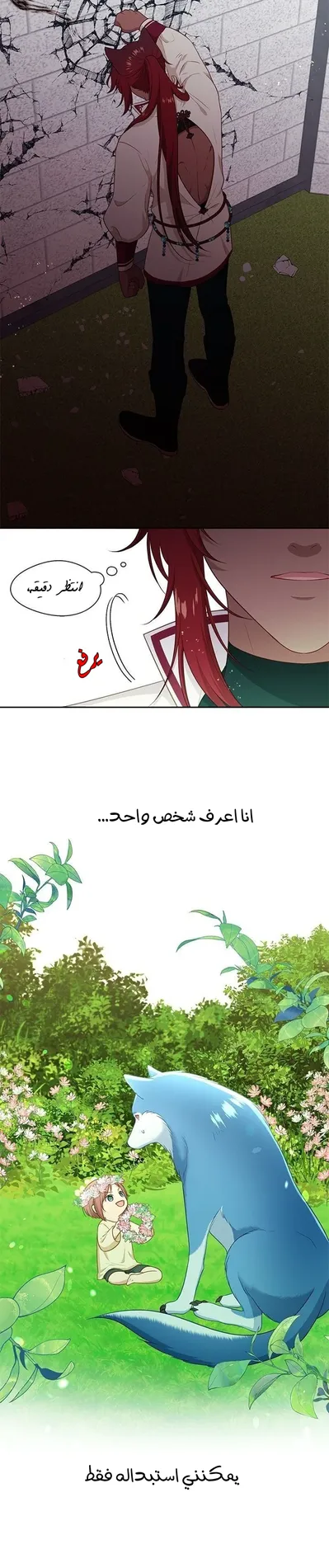 الصفحة 17