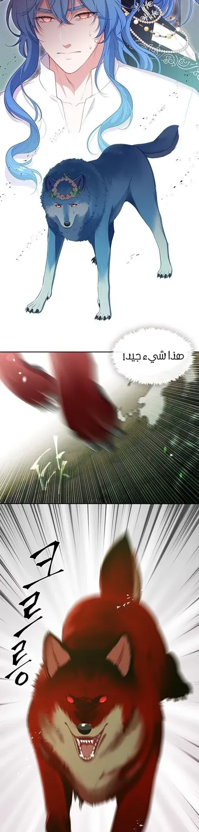 الصفحة 21