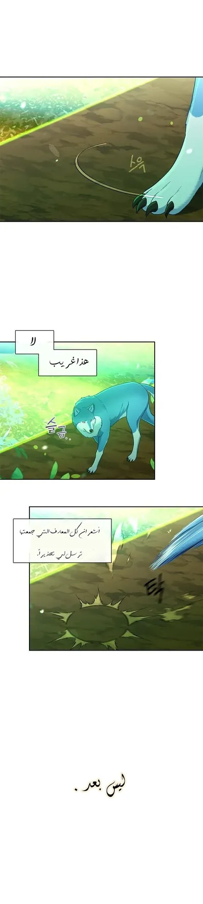 الصفحة 9