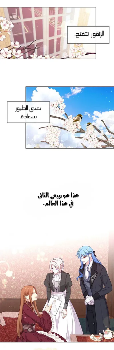 الصفحة 31