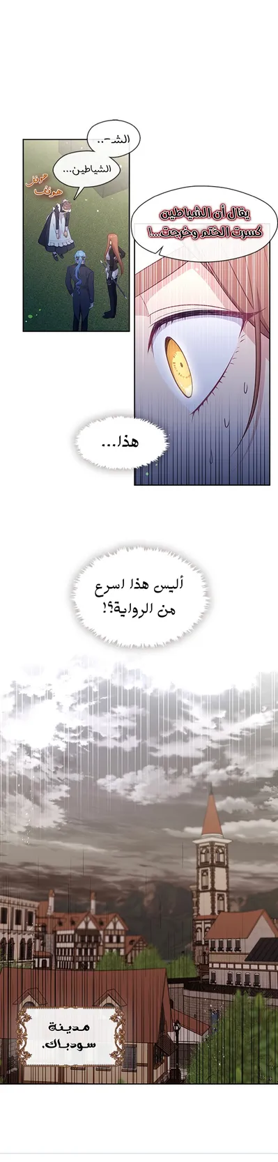 الصفحة 13