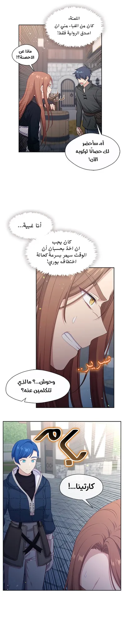 الصفحة 17