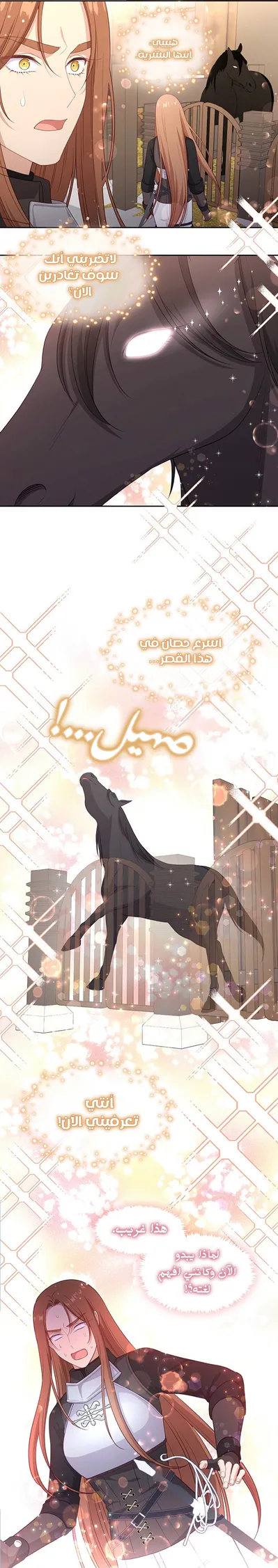 الصفحة 20