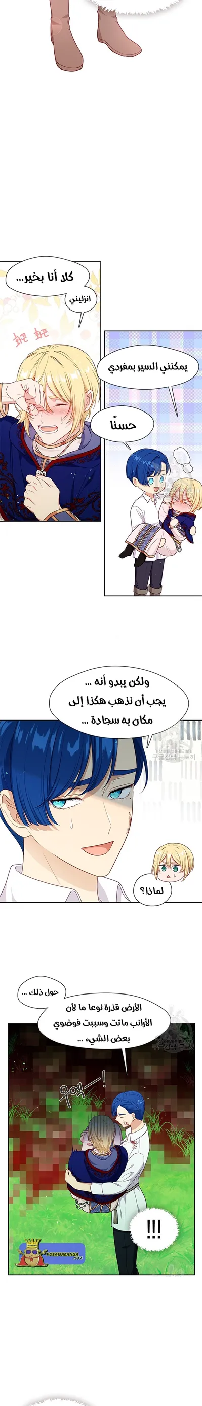 الصفحة 11