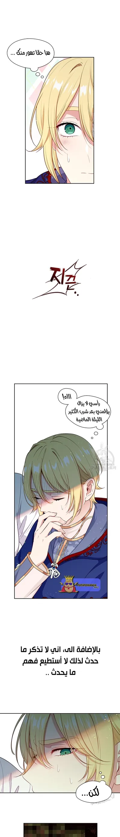 الصفحة 13