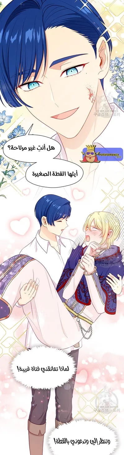 الصفحة 10