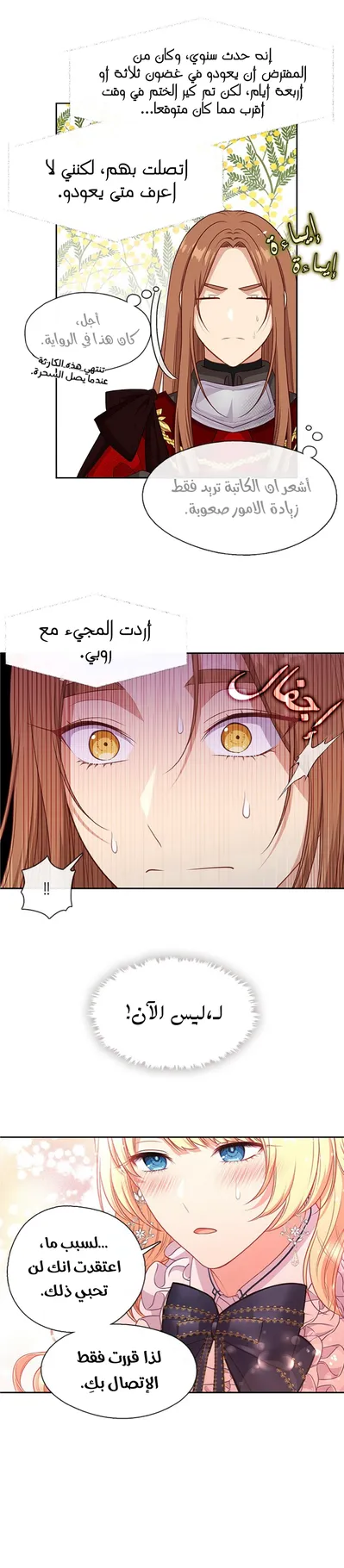 الصفحة 19
