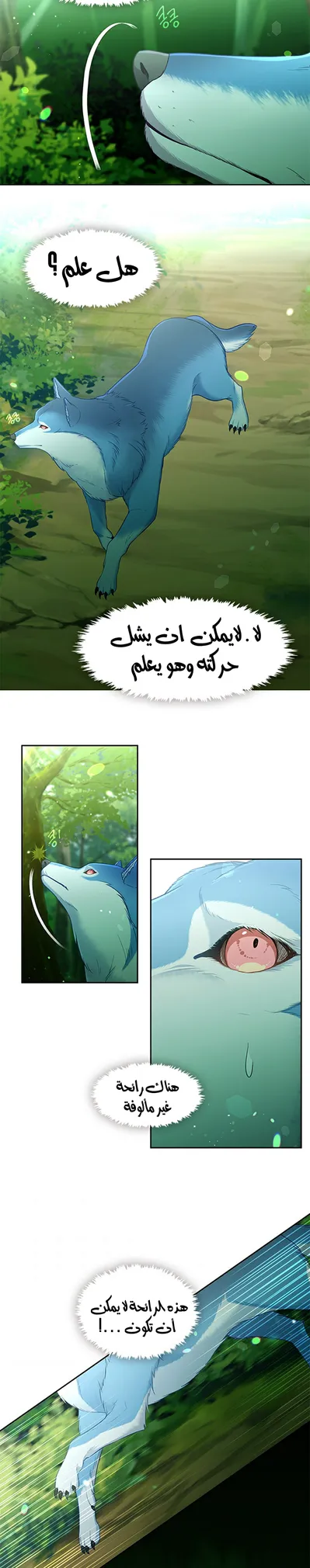 الصفحة 13