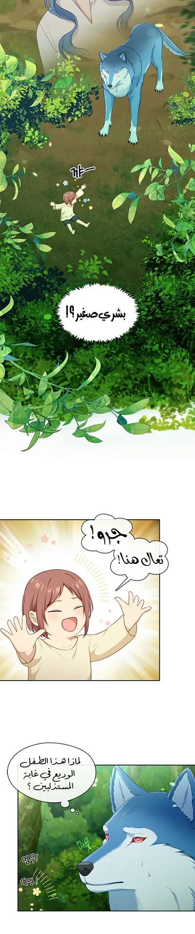 الصفحة 15