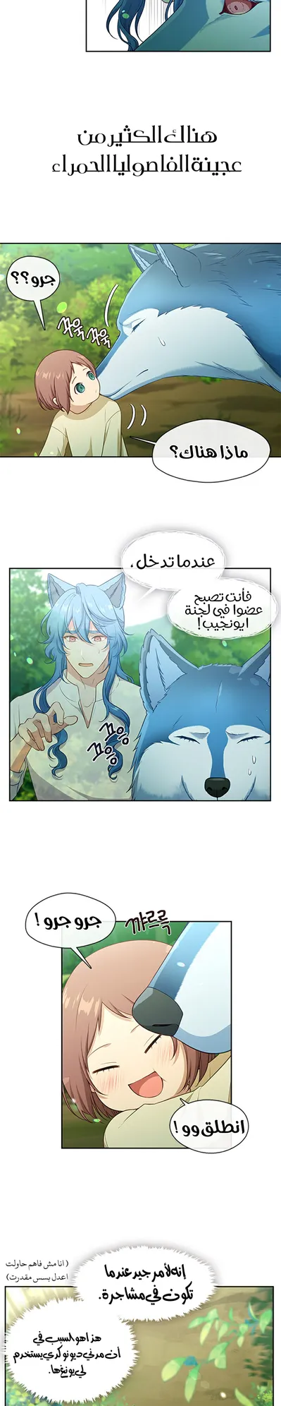 الصفحة 17