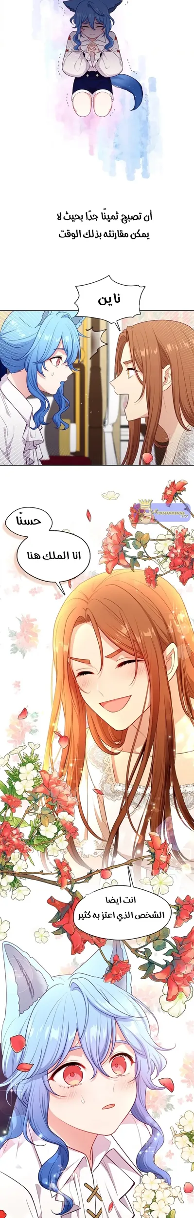 الصفحة 15