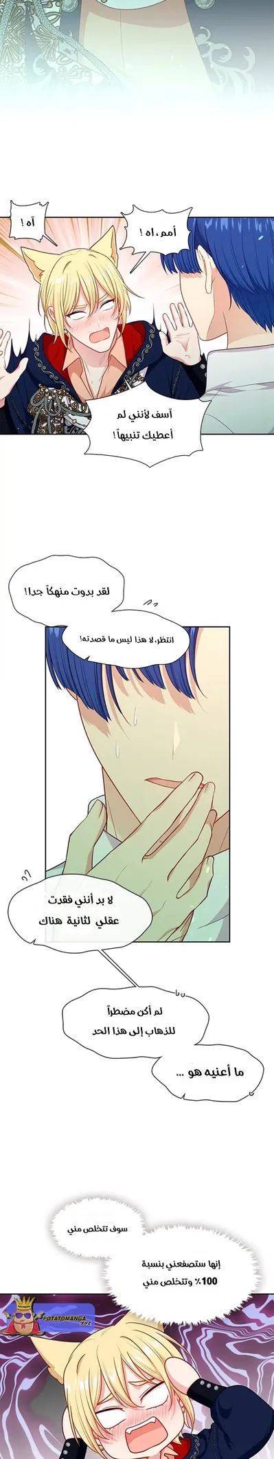 الصفحة 25