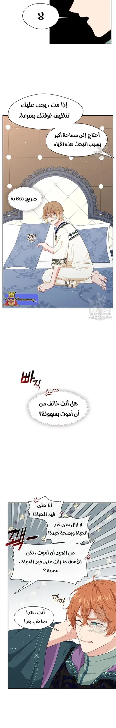 الصفحة 13