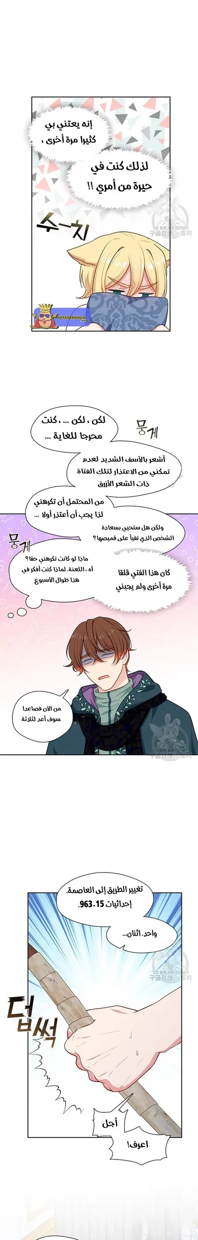 الصفحة 17