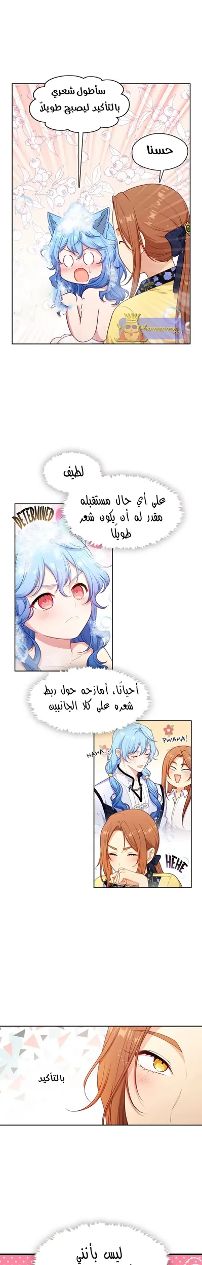 الصفحة 5