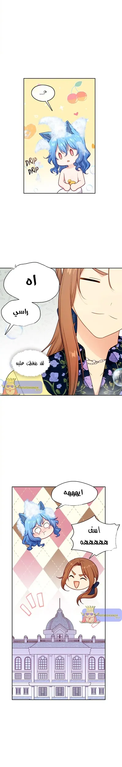 الصفحة 7