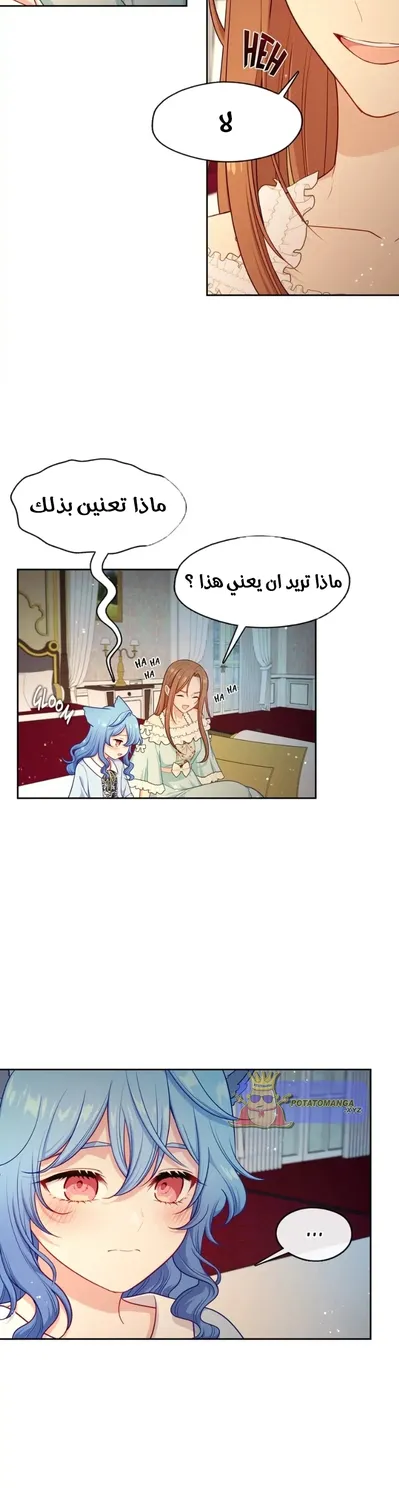 الصفحة 12