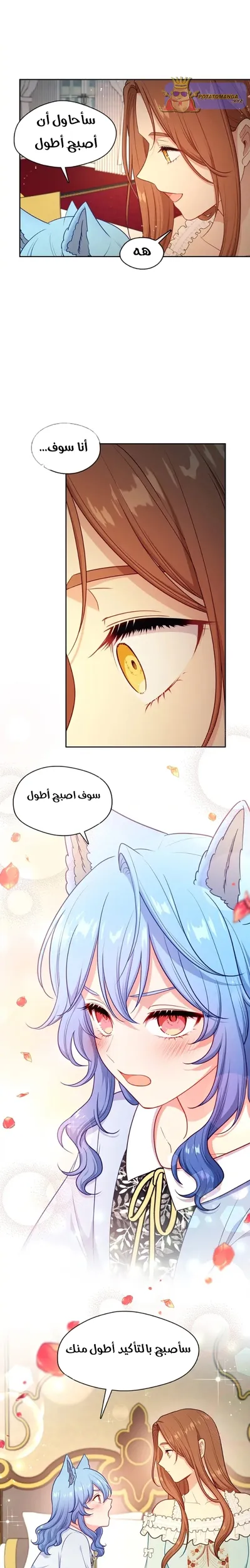 الصفحة 13