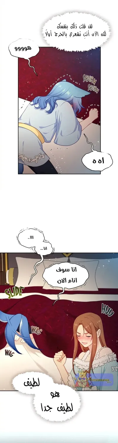 الصفحة 16