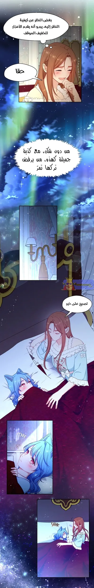 الصفحة 17