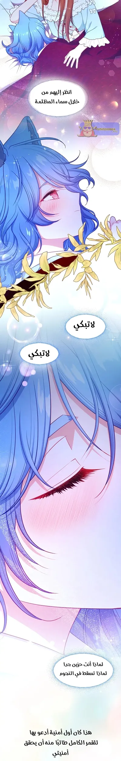 الصفحة 23