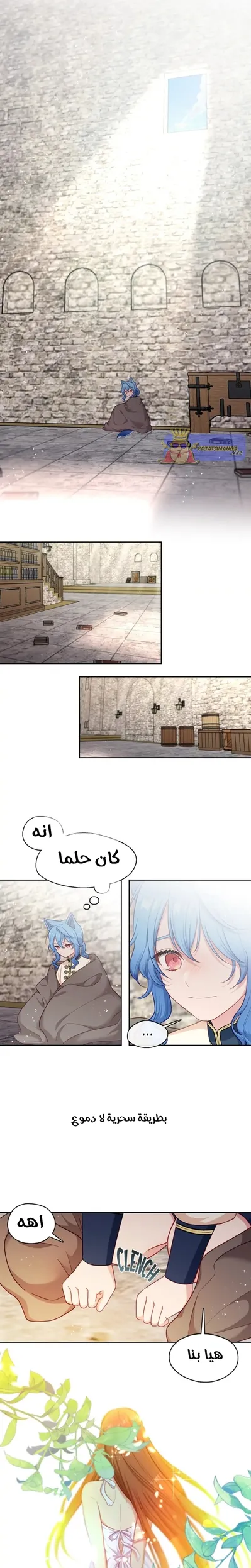 الصفحة 27