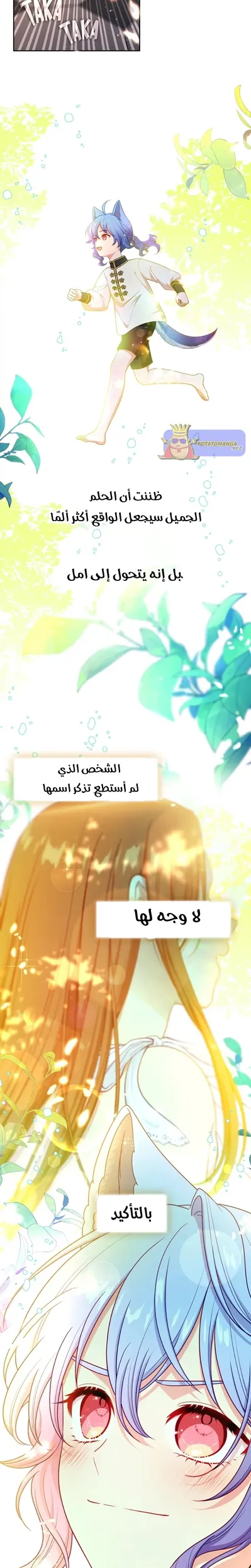 الصفحة 29