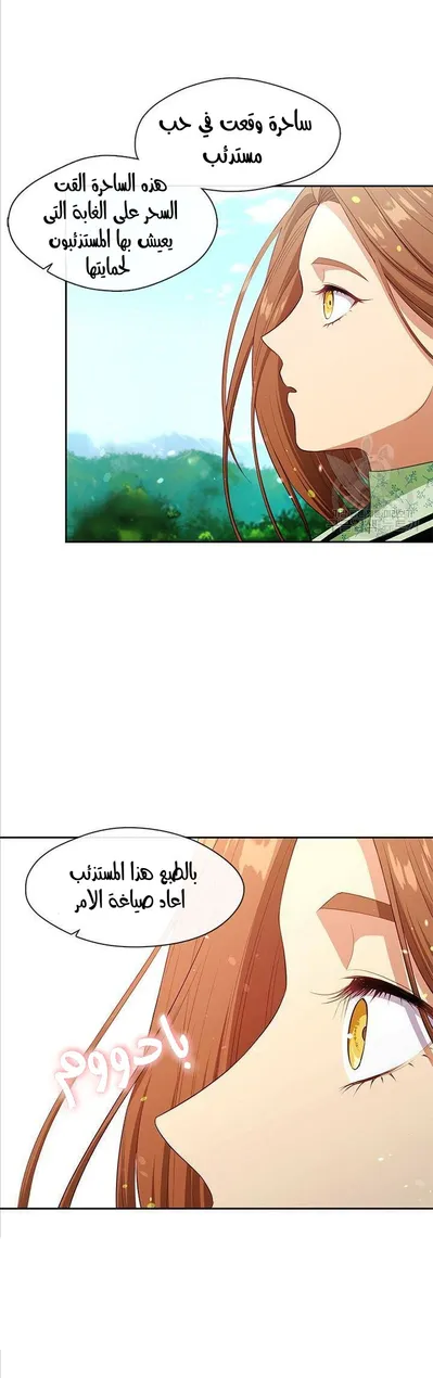 الصفحة 24