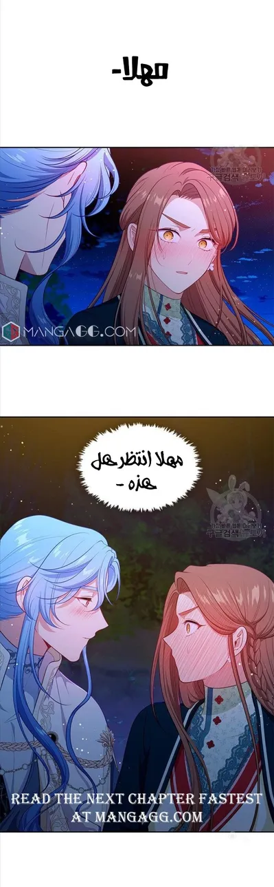 الصفحة 41