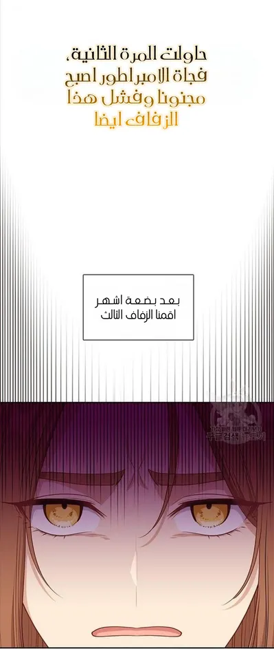 الصفحة 21