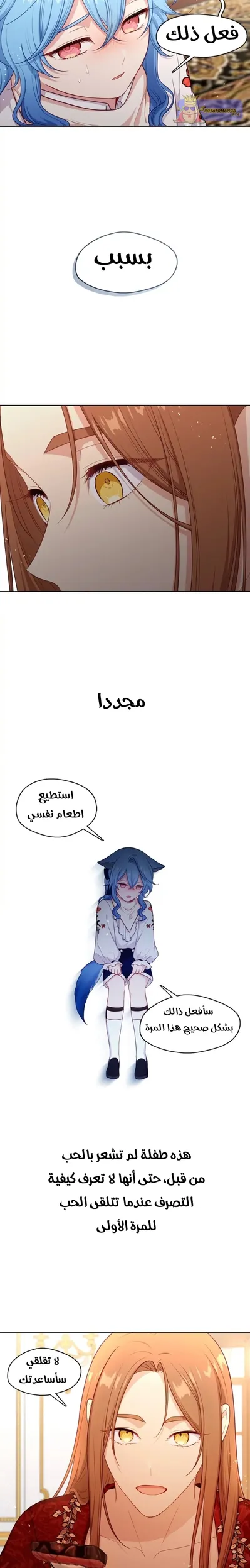الصفحة 11