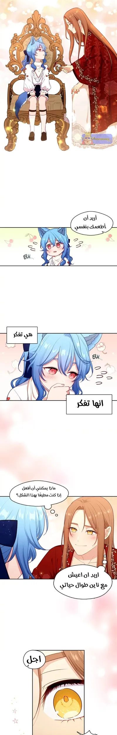 الصفحة 13