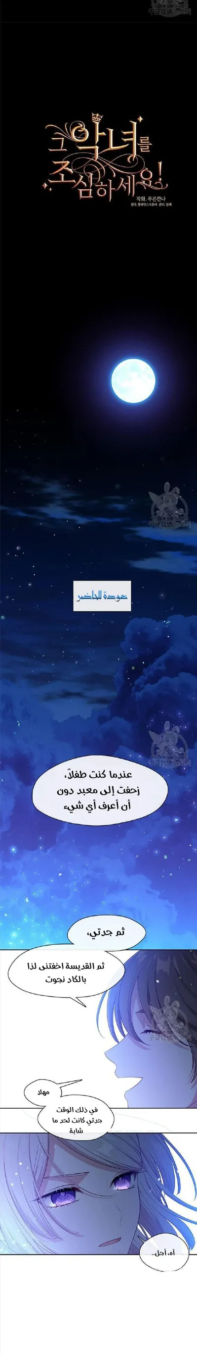 الصفحة 14