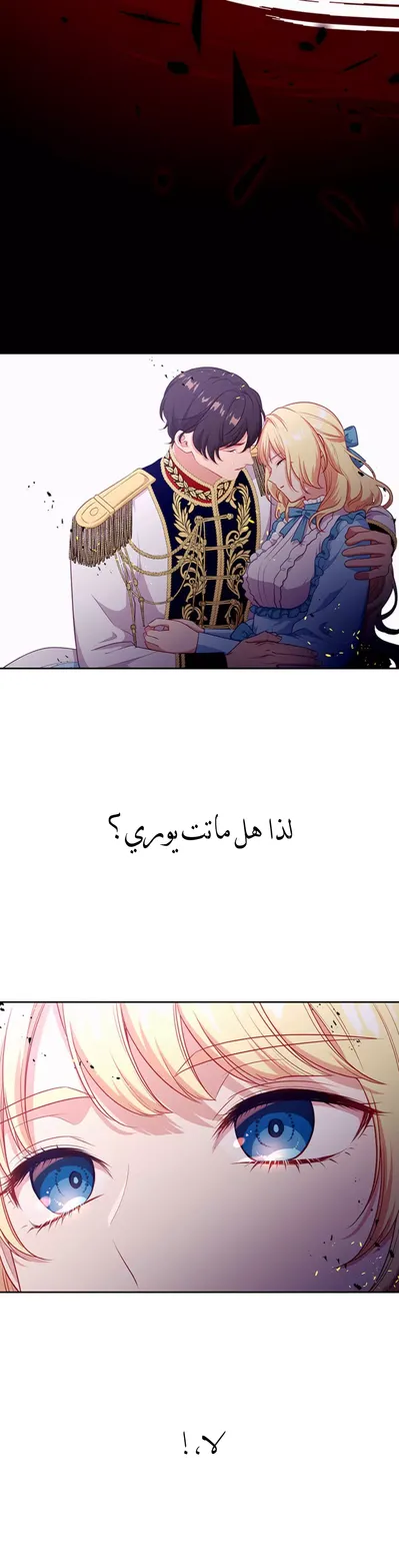 الصفحة 19