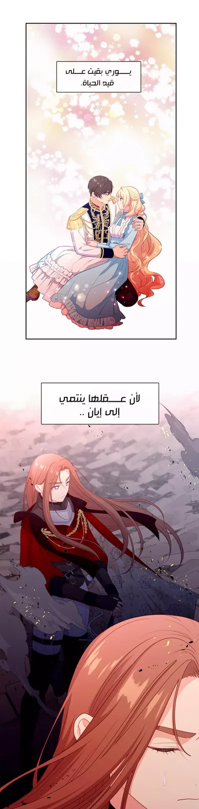الصفحة 20