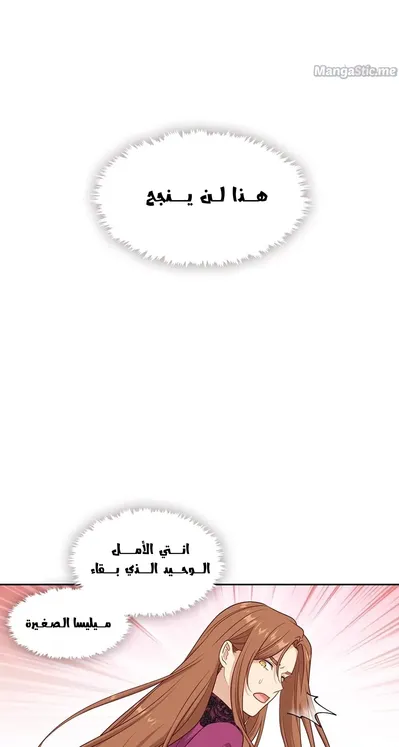 الصفحة 27