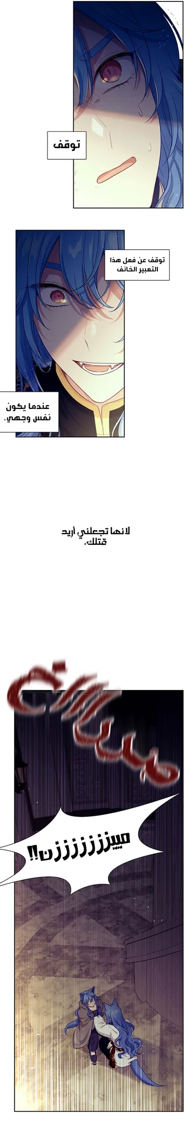 الصفحة 17