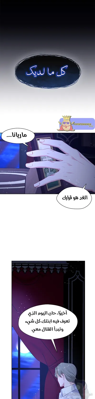 الصفحة 17