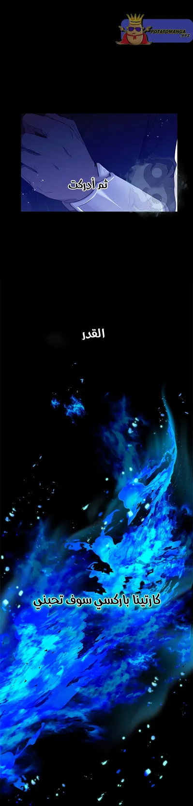 الصفحة 21