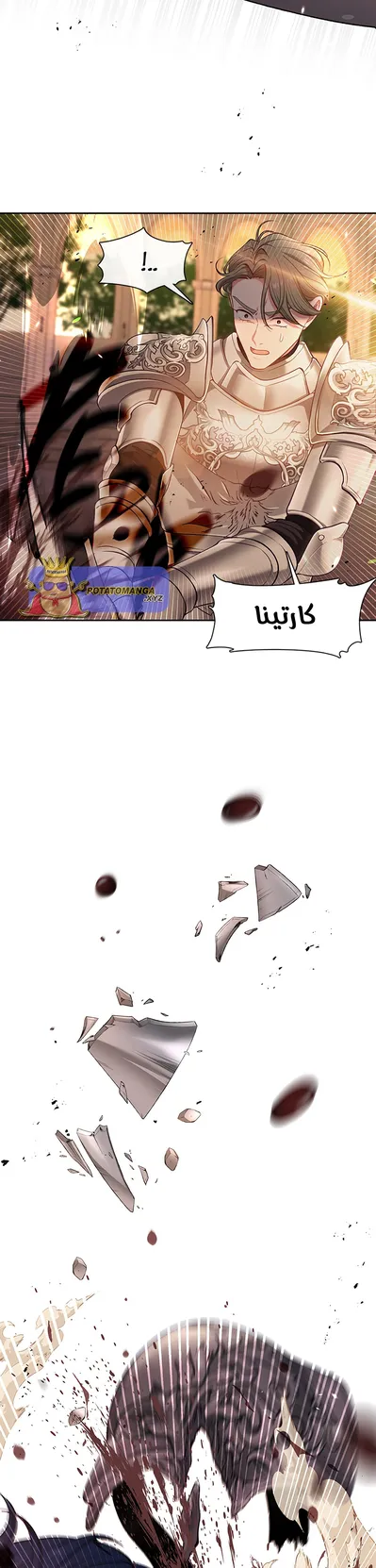 الصفحة 41