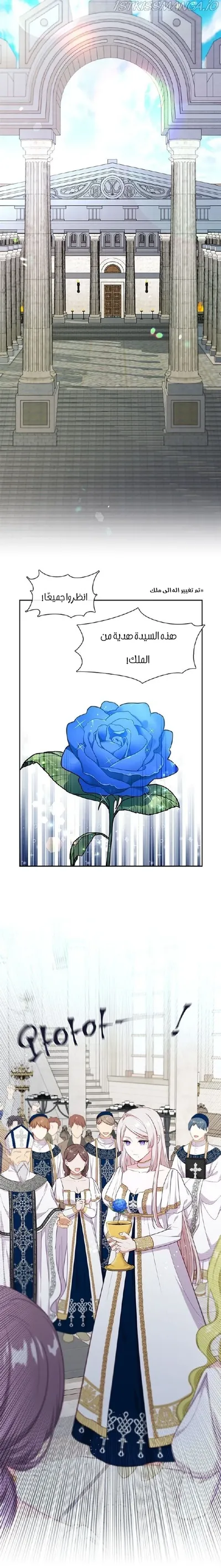 الصفحة 23