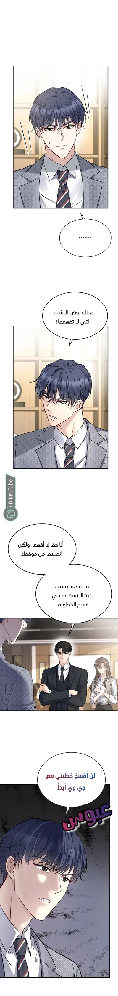 الصفحة 13